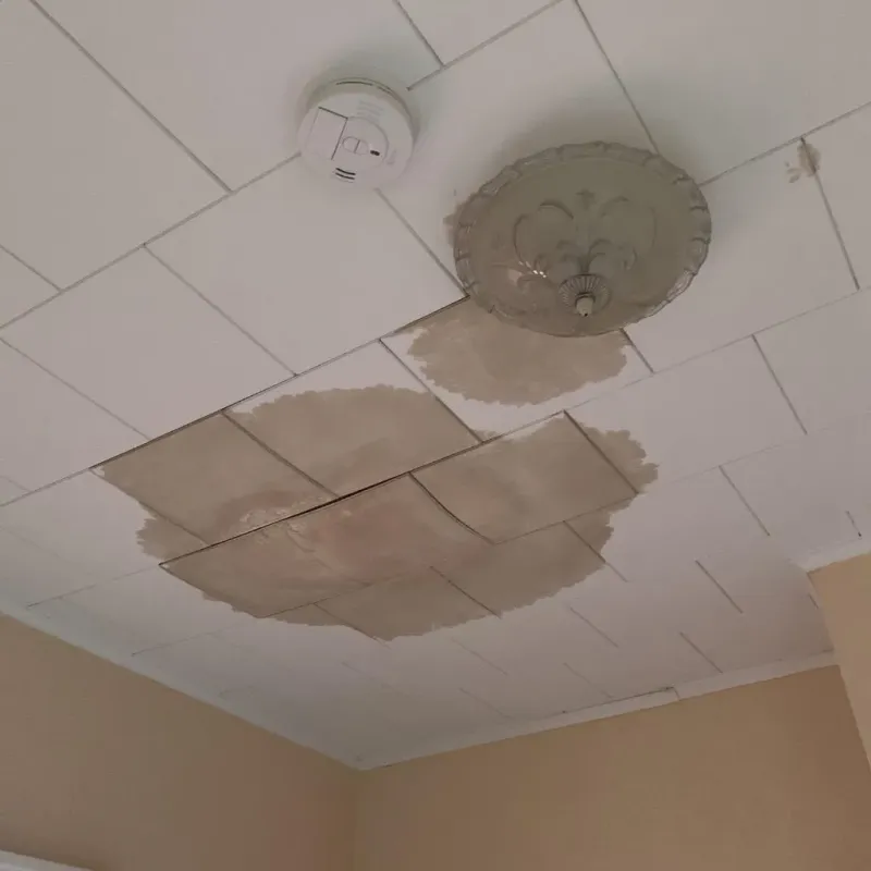 Ceiling Water Damage Repair in Ladonia, AL