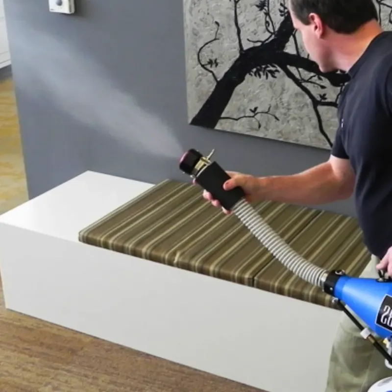 Professional Odor Removal in Ladonia, AL