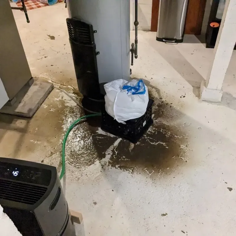 Sewage Backup Cleanup Service in Ladonia, AL